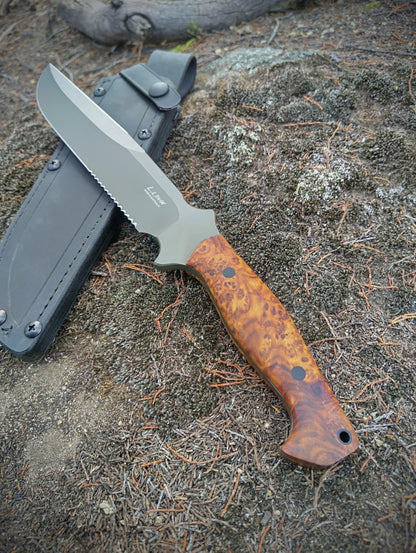Bushranger-Serrated (Nitro V, Amboyna Burl)
