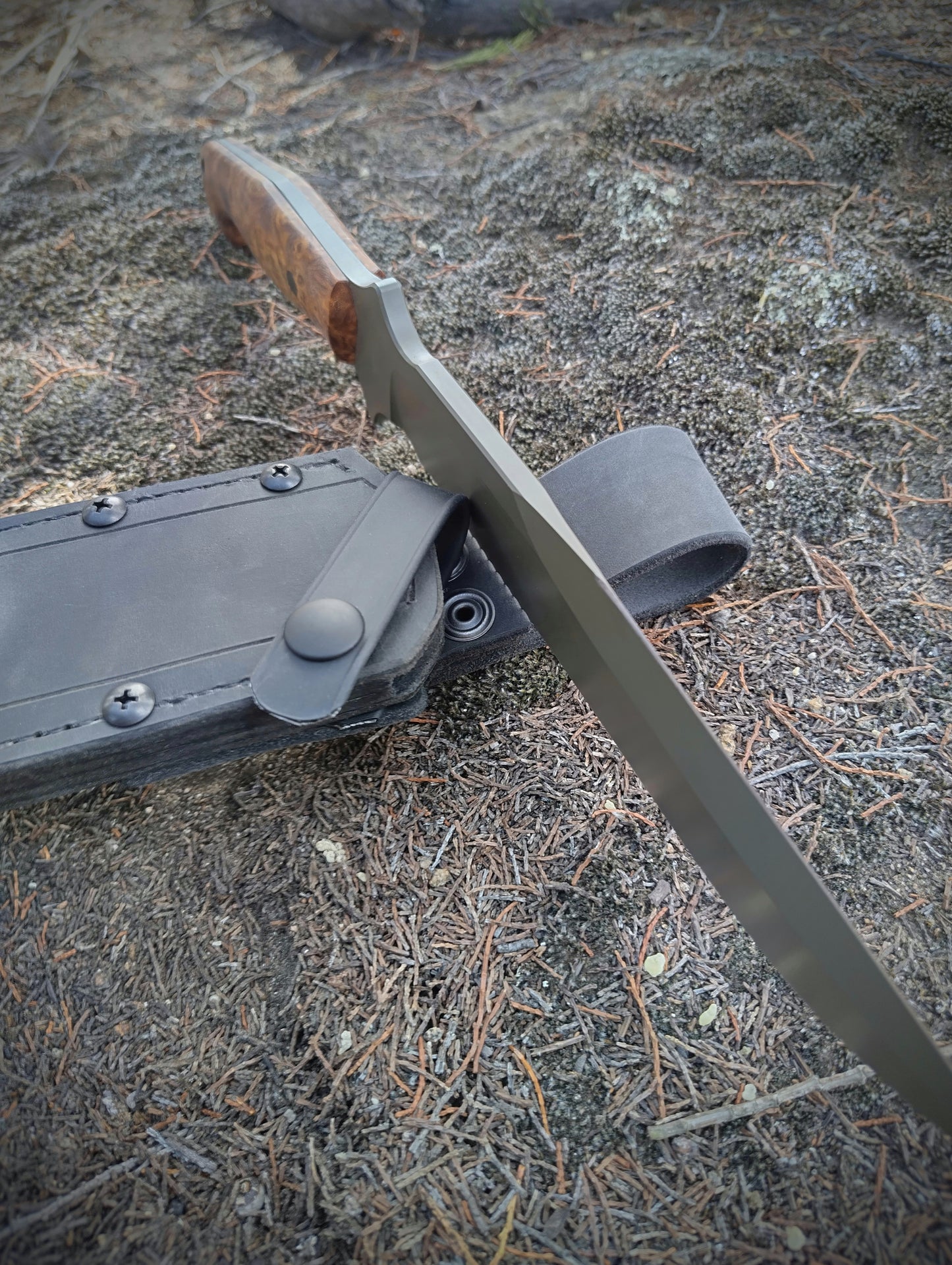 Bushranger-Serrated (Nitro V, Amboyna Burl)