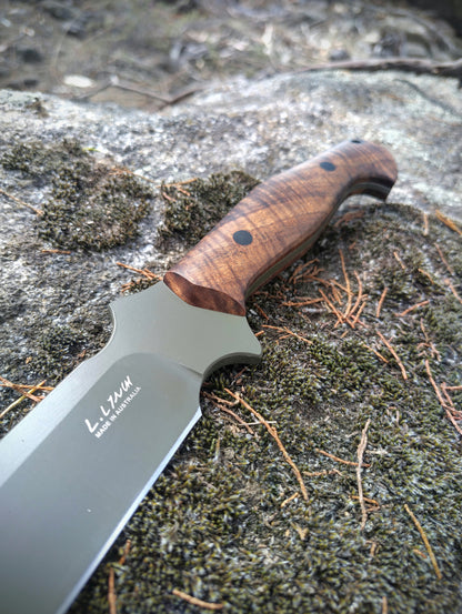 Bushranger(Nitro V, Tassie Blackwood)