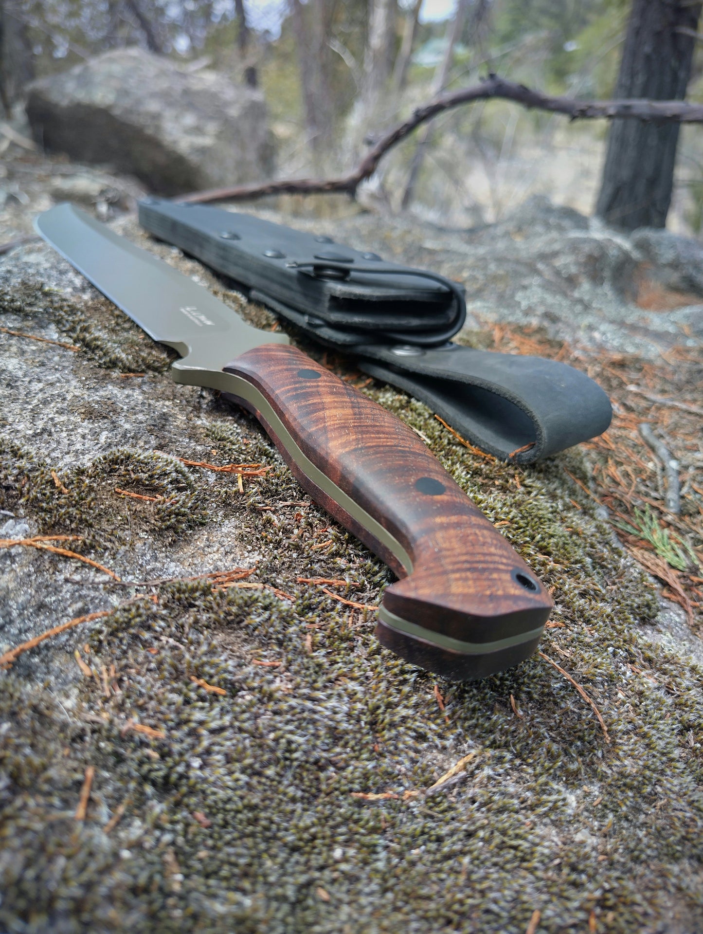 Bushranger(Nitro V, Tassie Blackwood)