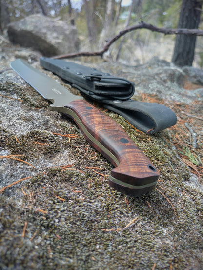 Bushranger(Nitro V, Tassie Blackwood)